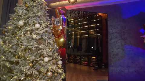 Media: Video of a festive, snow-dusted Christmas tree adorned with gold and white ornaments, standing next to a large, lit-up glass cabinet filled with wine bottles. A plush, red carpeted room with a warm, ambient light in the background.