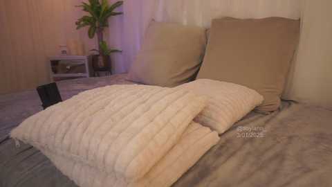 Media: Video of a cozy bedroom with a beige blanket, two beige pillows, a green plant, wooden wall, and soft lighting, creating a warm, inviting atmosphere.