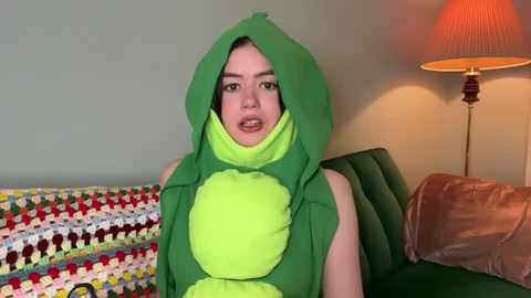 Media: Video of a woman in a green, plush turtle costume with a hood, sitting on a colorful, patterned couch in a cozy, warmly lit room with a lamp.