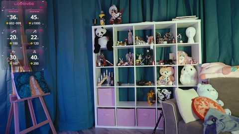 Media: Video of a whimsical, well-organized room with a white shelving unit filled with plush toys, books, and various items. A tall easel with a paint palette leans against the teal curtain backdrop.