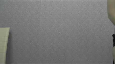 Media: Video of a textured, light gray wall with a subtle, grainy pattern. Partially visible are a light yellow piece of paper and a green lampshade, hinting at an office or study setting.