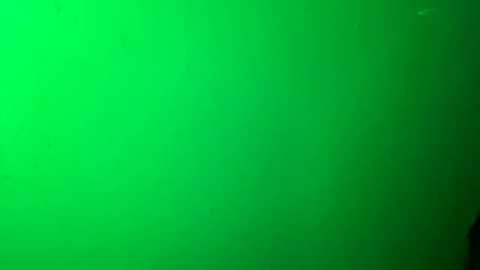 Media: A video with a vivid green background, no discernible objects or figures, creating a monochromatic, minimalist aesthetic. The green hue is uniform, with subtle variations in brightness and shading.