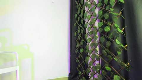 Media: Video of a modern, minimalist room featuring a vertical, green leafy plant wall with a black metal frame. The background is a white wall, and the floor is light gray.