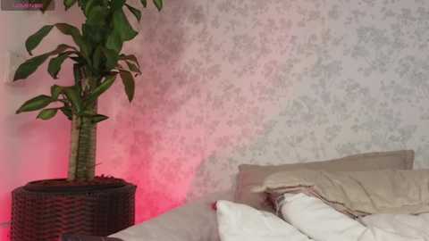 Media: A video of a bedroom with a tall, leafy plant in a black pot, casting a pink glow on the white, textured wallpaper. The bed has white and beige pillows and sheets.