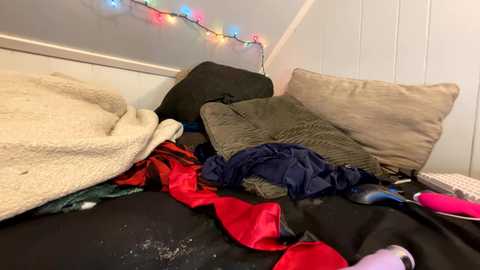 Media: Video of a cluttered bedroom with a beige blanket, dark pillows, a green sweater, and red clothing on a black bedspread, with colorful string lights and a pink vibrator on the side.