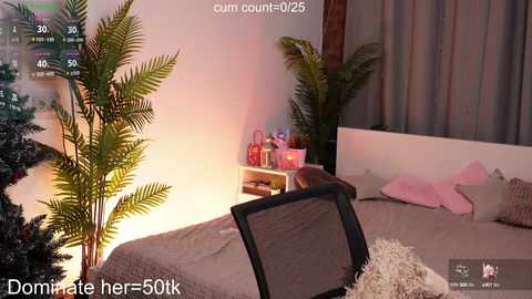 Media: Video of a cozy bedroom with a bed, ferns, and a black chair, illuminated by a soft, warm light.