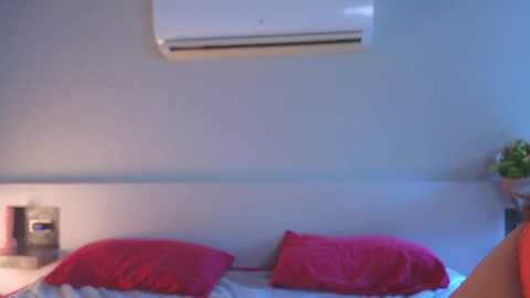 Media: Video of a minimalist bedroom with a white air conditioner mounted on a light grey wall above a bed covered in red pillows and white sheets. A small green potted plant sits on the nightstand.