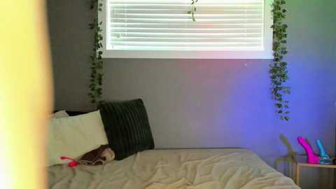 Media: A video of a modern bedroom with a beige bed, white pillows, a dark pillow, green hanging plants, a window with blinds, and vibrant pink and blue sex toys on a wooden nightstand.