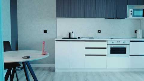 Media: A minimalist kitchen video featuring white cabinets, a black stove, and a round wooden table with a pink dildo on it, against a light gray wall.