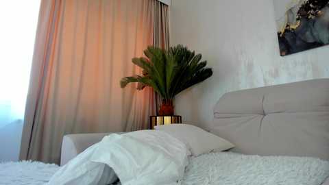 Media: Video of a modern, minimalist bedroom with a beige upholstered headboard, white bed, and fluffy white blanket. A large potted palm plant stands next to the bed, and a window with sheer curtains is partially visible.