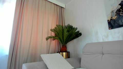 Media: Video of a minimalist living room with beige curtains, a white sofa, a potted palm, and a modern abstract painting on the wall.