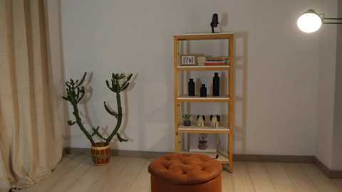 Media: Video of a minimalist room with beige walls and light wood floors. Features a tall, wooden shelving unit holding black bottles, a potted cactus, and a small plant. A round, orange ottoman sits in the foreground, and a floor lamp with a white shade is on the right.