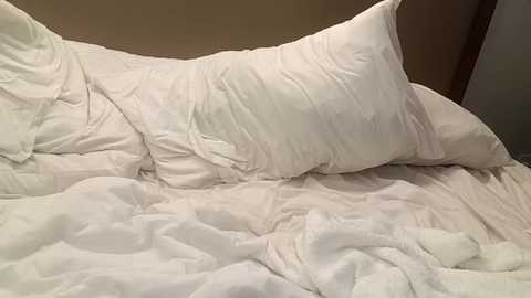 Media: Video of a messy bed with rumpled white sheets, a pillow, and a pillowcase, set against a plain, light-colored wall. The bedding appears slightly disheveled, giving a sense of casual, lived-in comfort.