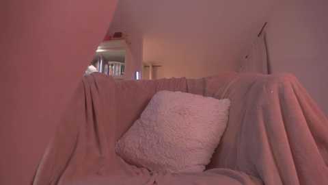 Media: Video of a cozy, dimly lit room with a white fluffy pillow on a pink couch draped in a light pink blanket. The background shows a bookshelf and a doorway.