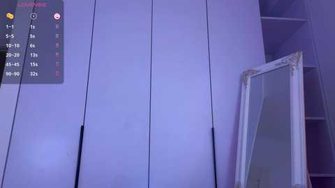 Media: Video of a purple-tinted, minimalist room with vertical white wooden wardrobe doors on the left and a large, ornate mirror on the right. A digital clock with a red background hangs above the wardrobe.