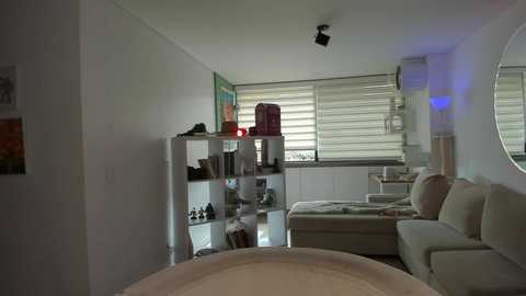 Media: Video of a modern, minimalist living room with white walls, beige furniture, and a large window with horizontal blinds. A white bookshelf holds books and a red alarm clock.