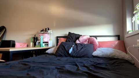 Media: Video of a cluttered, small bedroom with a black metal bed, pink and white pillows, and a dark blue comforter. A desk with scattered items and a window with sunlight streaming in is visible.