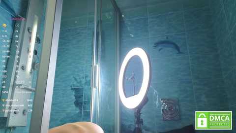 Media: Video of a modern bathroom with a glass shower door, illuminated by a round, bright LED light, featuring a dolphin silhouette on the tiled wall.