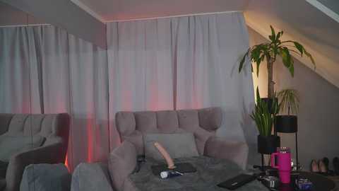 Media: Video of a modern living room with gray couches, sheer white curtains, a tall potted plant, and a pink mug on a table.