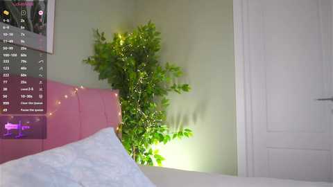 Video of a cozy bedroom corner with a pink headboard, a green leafy plant, fairy lights, and a white door.