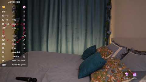 Media: Video of a dimly lit bedroom with a bed adorned with teal pillows and floral-patterned bedding. The background features a closed curtain and a partially visible nightstand.