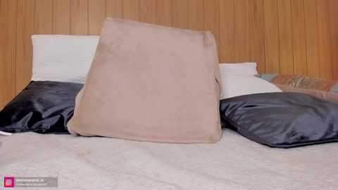 Media: Video of a bed with a beige pillow on top, surrounded by white and black pillows, against a wooden paneled wall, with a social media watermark in the bottom left corner.