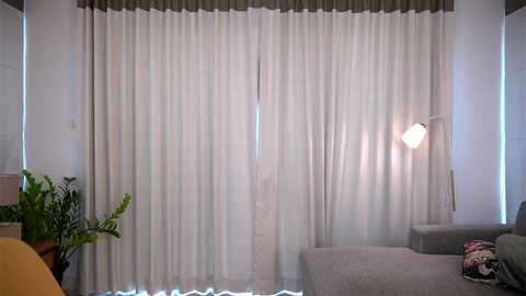 Media: Video of a modern, minimalist living room with white floor-to-ceiling curtains, a grey couch with floral pillows, a potted fern, and a modern wall lamp.