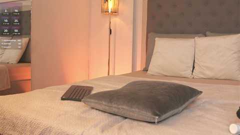 Media: Video of a modern bedroom with a plush, gray cushion on a beige bedspread. A beige headboard and soft lighting create a cozy ambiance.