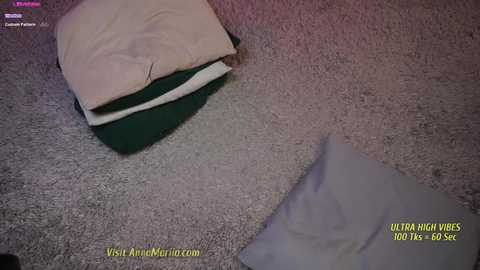 Media: Video of a beige and green pillow atop a grey carpet, overlaid with text indicating \"Ultra High Widescreen 1080 x 1920 px\" and \"Visit UltraMarinet.com\".