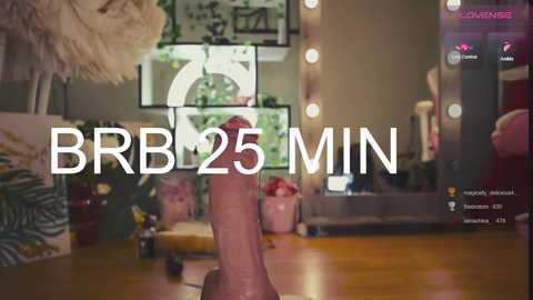 Media: Video of a hand holding a large, erect penis in a bedroom, surrounded by makeup mirrors, plants, and a pink cup. Text reads \"BBR25 MIN.\