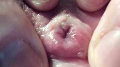 Media: A close-up video of a human vulva, with the labia minora and labia majora visible, and a finger gently parting the lips, revealing the vaginal opening.