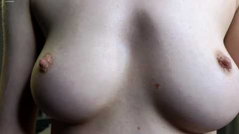 Media: Video of a fair-skinned, topless woman with medium-sized, natural breasts. Her nipples are small and erect. Background is out of focus, suggesting an indoor setting.