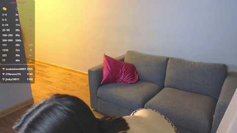 Media: A video of a modern living room with a gray sofa, wooden floor, and a person with dark hair in the foreground, wearing a white top. A red pillow is on the sofa.