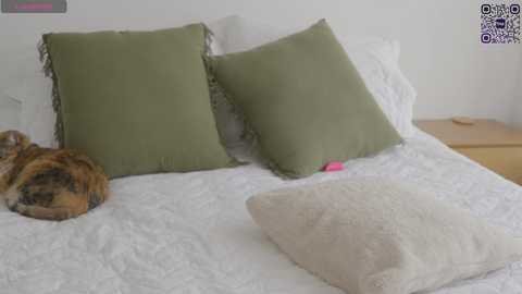 Media: Video of a cozy bedroom with a white bed, green and beige pillows, a cream-colored pillow, and a sleeping cat on the left side.