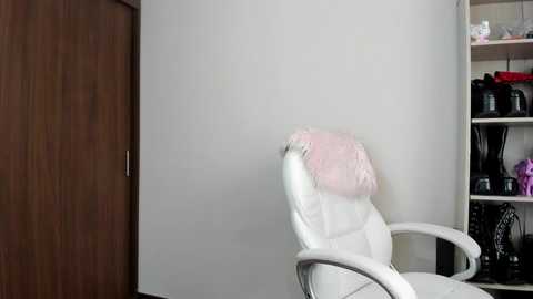 Media: Video of a minimalist, modern room with a white leather recliner chair featuring a pink blanket, a closed wooden door, and a shelf filled with black camera equipment.