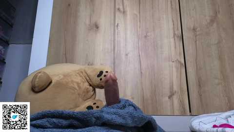 Media: A video of a beige plush bear with a human-like penis, placed on a blue blanket atop a wooden wardrobe, with a QR code in the bottom left corner.