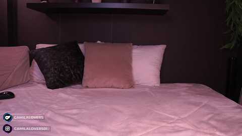 Media: A video of a bed with a beige comforter, two pillows (one dark and one light), and a remote control on the left side. The background shows a dark wall and a shelf.