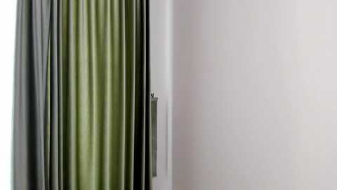 Media: Video of a minimalist interior featuring a white wall with a partially open door. The door is framed by dark grey curtains with a subtle green stripe, creating a modern, clean aesthetic.