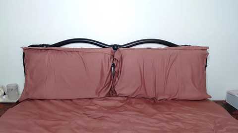 Media: Video of a minimalist bedroom featuring a black metal bed frame with two large, wrinkled, mauve satin pillows against a plain white wall.