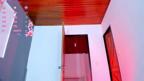 Media: A video of a small, well-lit room with white walls, a wooden ceiling, and a red door open to a hallway. A calendar and a towel are visible.