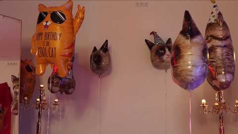 Media: Video of a room with three inflated cat balloons: one says \"Happy Birthday,\" another has a cat face, and the third is plain. A chandelier is visible in the background.