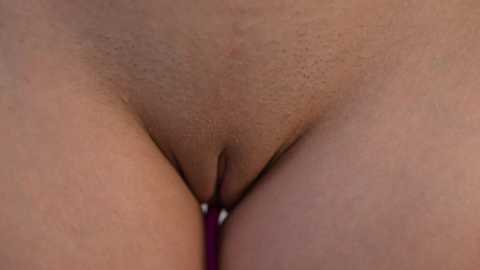 Media: Video of a close-up, intimate view of a woman's vulva, showcasing the labia and pubic hair stubble. The skin is light brown with a natural texture, and the background is blurred.