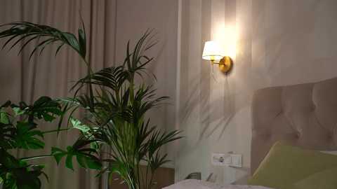 Media: Video of a modern bedroom with a beige upholstered headboard, a gold wall sconce, and a green plant.