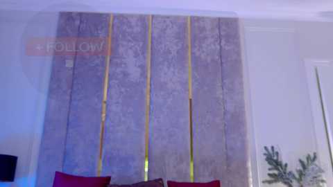 Video of a modern living room with a large, vertical, textured, light-gray curtain with golden stripes, featuring a red sofa and a potted plant in the background.