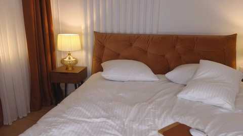 Media: Video of a neatly made bed with white linens, two white pillows, and a tufted brown headboard. Next to it, a wooden nightstand holds a gold lamp with a white shade. Brown curtains and white vertical blinds frame the window.