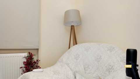 Media: Video of a cozy bedroom corner with a beige lamp on a white radiator, a floral-patterned cushion, and a vase of red flowers.