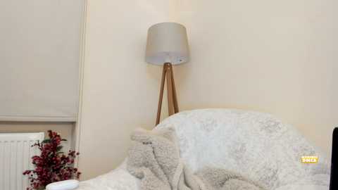 Media: Video of a cozy bedroom corner with a beige wall, a white radiator, a light gray lampshade on a wooden tripod, a beige blanket, and a white window blind.