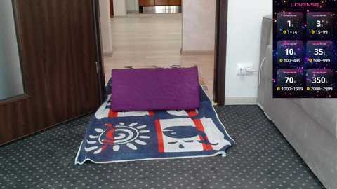 Media: Video of a modern, minimalist bedroom with a purple pillow on a sun-themed, multicolored duvet. The room features wooden doors, a grey carpet, and a flat-screen TV displaying a fitness app.