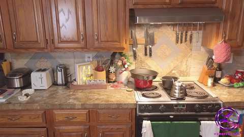 Media: Video of a cozy kitchen with wooden cabinets, granite countertops, a gas stove, a toaster, a red pot, utensils hanging, a microwave, and a green towel.