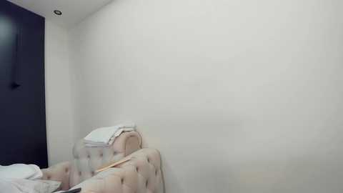 Media: Video of a minimalist, dimly lit bedroom with white walls and a tufted beige headboard. A neatly made bed with white sheets and a folded white blanket is visible. A dark, flat-screen TV is mounted on the left wall.